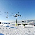 соліна 8