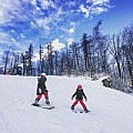 соліна 1