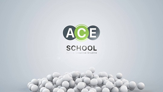 ACE school, школа сучасної освіти