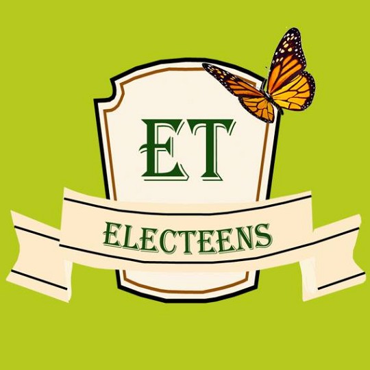 ELECTeens, дитячий табiр 