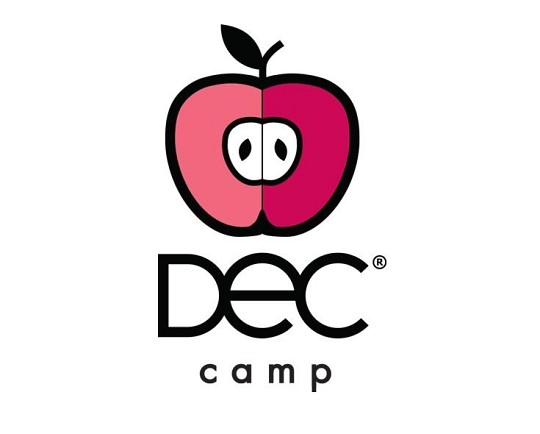 DEC camp, дитячий англомовний табір