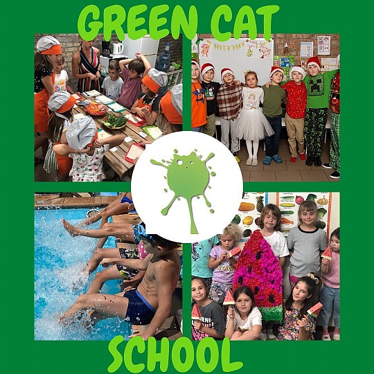 Green Cat, альтернативна школа