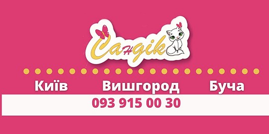 САнДІК, мережа англомовних садочків