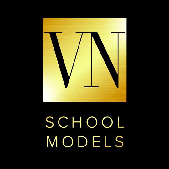VNschoolmodels, модельна школа