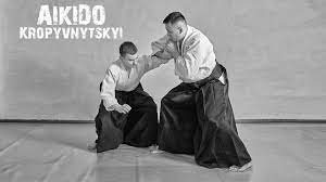 Федерація Айкідо та Будо, школа бойових мистецтв