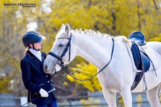 Мустанг, кінно-спортивний клуб