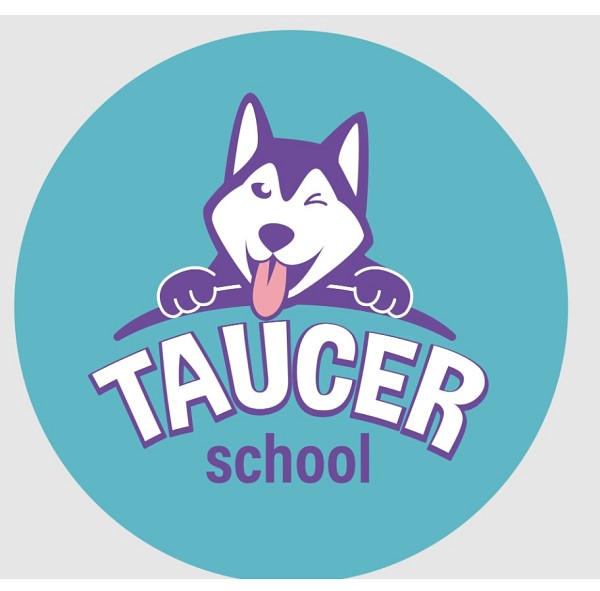 Taucer school, навчальний комплекс