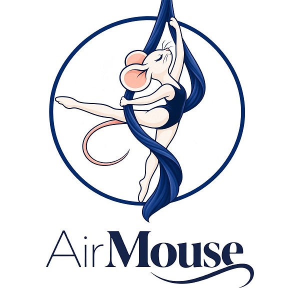 Air Mouse, студія повітряної гімнастики